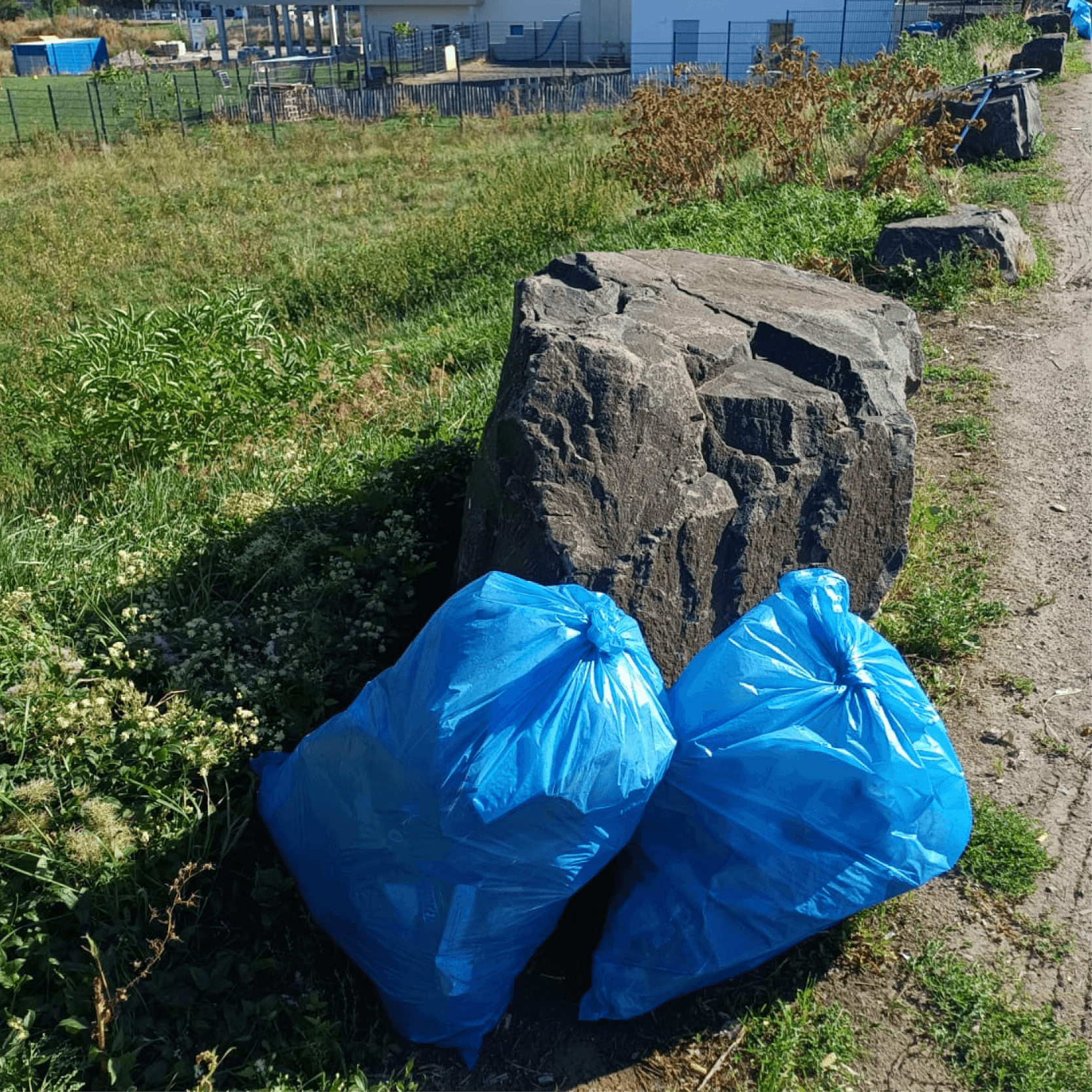 Alzey räumt auf – Bild 2